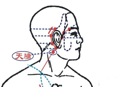 天竅穴位置|天牖